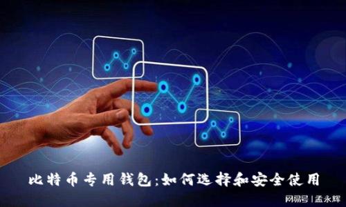 比特币专用钱包:如何选择和安全使用