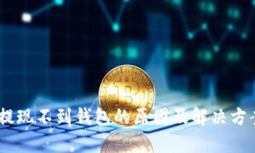 USDT提现不到钱包的原因及解决方案解析