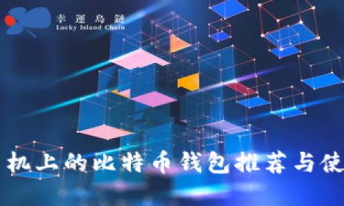 苹果手机上的比特币钱包推荐与使用指南