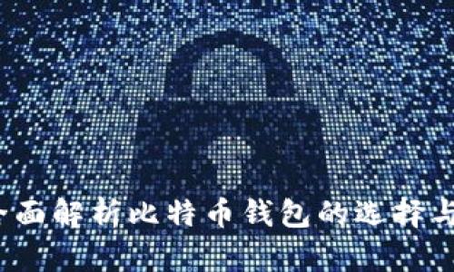 快钱包:全面解析比特币钱包的选择与使用指南