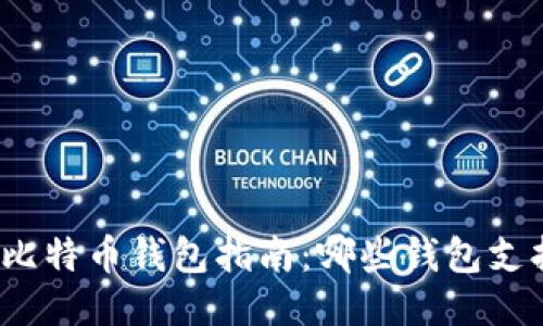 最全面的比特币钱包指南:哪些钱包支持阿希币?