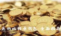 如何找回丢失的比特币钱包:全面指南与实用技