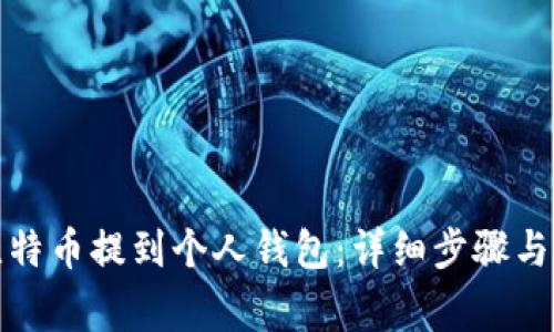 如何将比特币提到个人钱包:详细步骤与注意事项