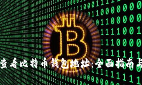 如何高效查看比特币钱包地址:全面指南与注意事项