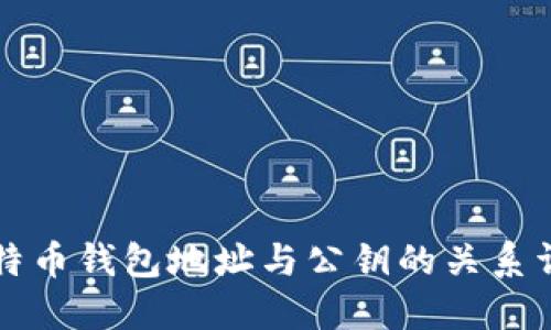 比特币钱包地址与公钥的关系详解