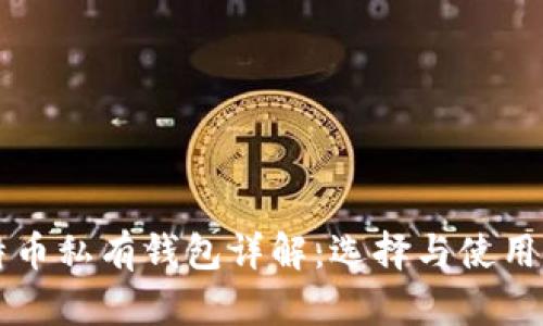 比特币私有钱包详解:选择与使用指南