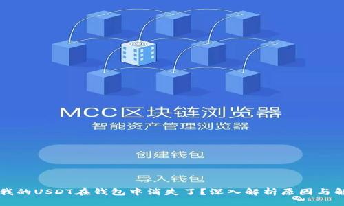 为什么我的USDT在钱包中消失了？深入解析原因与解决方案