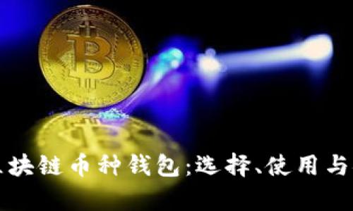 全面解析区块链币种钱包:选择、使用与安全性指南