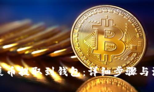 如何将屎币提取到钱包：详细步骤与注意事项