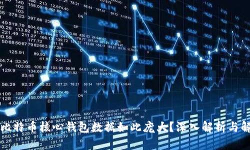 为什么比特币核心钱包数据如此庞大?深入解析与解决方案
