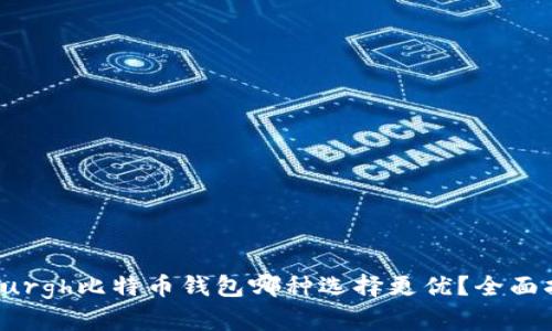 inburgh比特币钱包哪种选择更优?全面指南