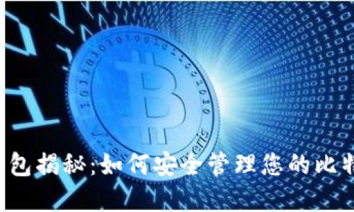 安网3钱包揭秘:如何安全管理您的比特币资产
