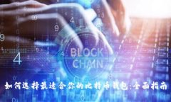 如何选择最适合你的比特币钱包:全面指南