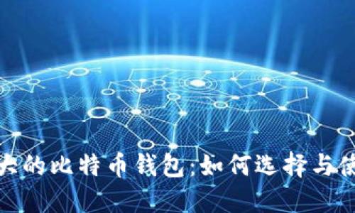 全球最大的比特币钱包:如何选择与使用策略