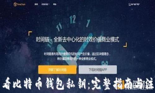 如何查看比特币钱包私钥:完整指南与注意事项