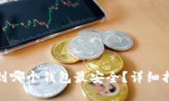 MATIC转到哪个钱包最安全?详细指南与推荐