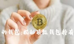 比特币数量最多的钱包:揭秘顶级钱包持有者及