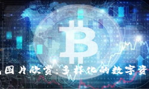 以太坊钱包图片欣赏:多样化的数字资产管理之美