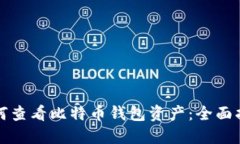 如何查看比特币钱包资产:全面指南