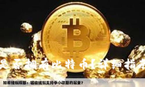 如何查询钱包中是否拥有比特币?详细指南与常见问题解答