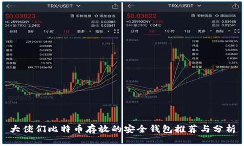 大佬们比特币存放的安全钱包推荐与分析