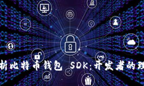 深入解析比特币钱包 SDK:开发者的理想选择