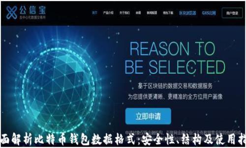 
全面解析比特币钱包数据格式：安全性、结构及使用指南