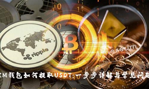 IM钱包如何提取USDT:一步步详解与常见问题