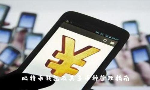 比特币钱包及其多币种管理指南