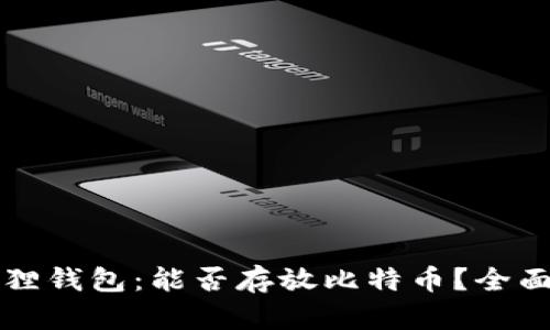 小狐狸钱包:能否存放比特币?全面解析