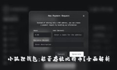 小狐狸钱包:能否存放比特币?全面解析