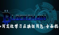 如何高效学习区块链钱包:全面指南