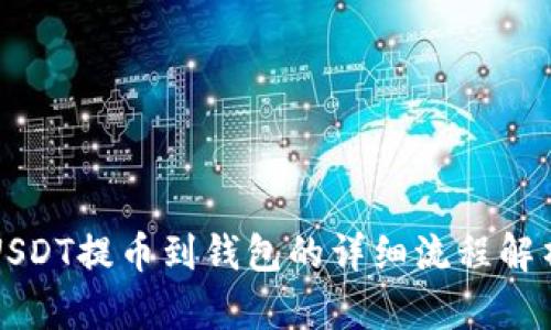 USDT提币到钱包的详细流程解析