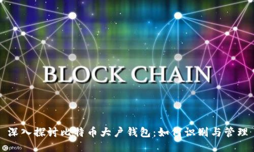 深入探讨比特币大户钱包:如何识别与管理