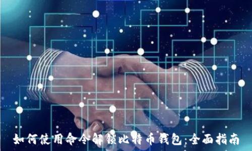 如何使用命令解锁比特币钱包:全面指南