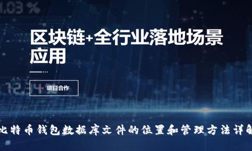 比特币钱包数据库文件的位置和管理方法详解
