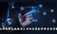 比特币钱包数据库文件的位置和管理方法详解