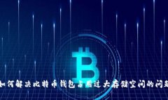 如何解决比特币钱包占用过大存储空间的问题
