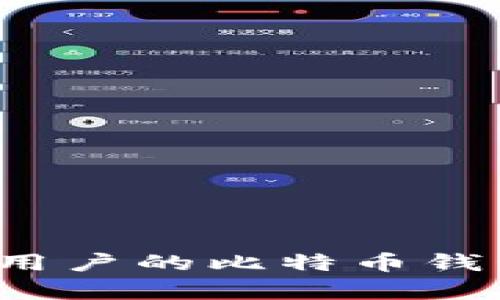 如何选择适合大陆用户的比特币钱包?全面解析与推荐