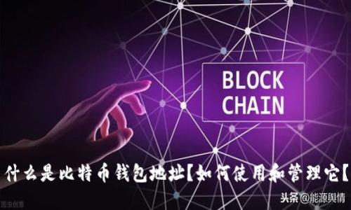 什么是比特币钱包地址?如何使用和管理它?