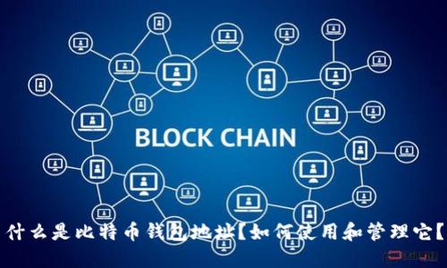 什么是比特币钱包地址?如何使用和管理它?