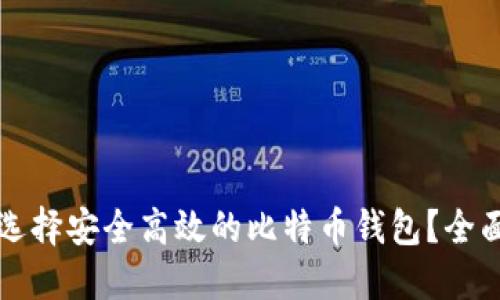 如何选择安全高效的比特币钱包?全面指南