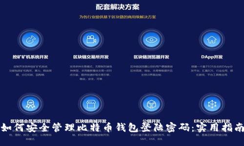 如何安全管理比特币钱包登陆密码:实用指南