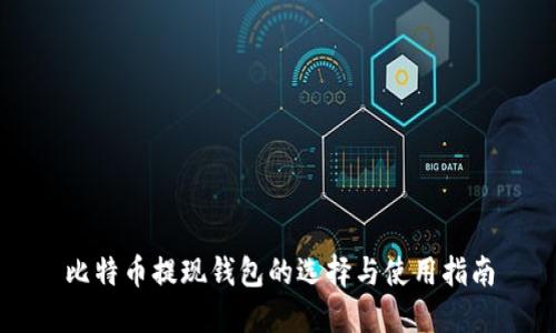 比特币提现钱包的选择与使用指南
