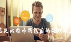 成都人丢失比特币钱包后的处理及应对措施