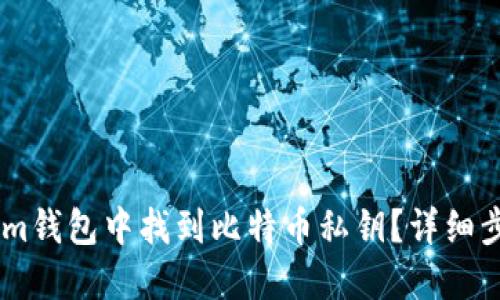 如何在Token.im钱包中找到比特币私钥?详细步骤与安全建议