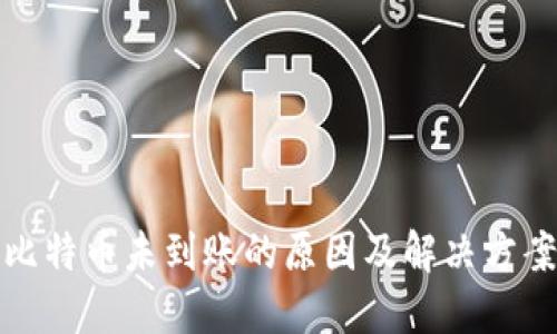 比特币未到账的原因及解决方案