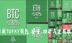 全面解析TOPAY钱包:安全、功能与使用技巧指南