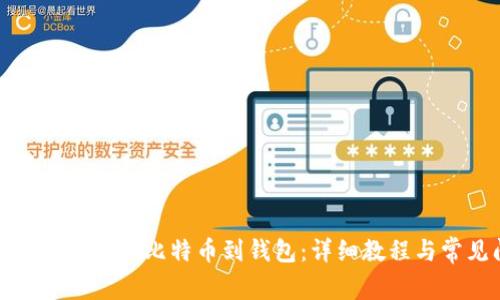 如何安全有效地导入比特币到钱包:详细教程与常见问题解答