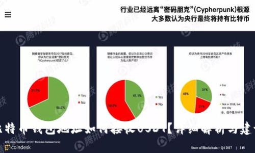 比特币钱包地址如何接收USDT?详细解析与建议